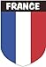 Artimagen Pegatina Escudo Francia con Texto y 40x60 mm.