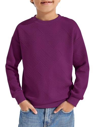 Haloumoning Boys Geometric Texture Sweatshirts Fashion Crewneck Long Sleeve Pullover Shirts 5-14 Years Purple