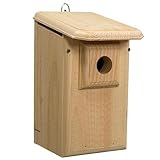 Coveside Western Bluebird House with Observation Window – Pine Nest Box with...