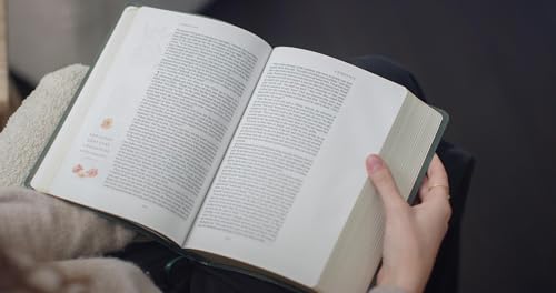Image of ESV GraceLaced Bible, Journaling Edition (Artwork by Ruth Chou Simons) (TruTone, Quiet Forest)