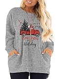 DOLNINE Plus Size Sweatshirts for Women 4X Long Sleeve Casual Holiday Tops Loose Fit Shirts Grey SD008-26W