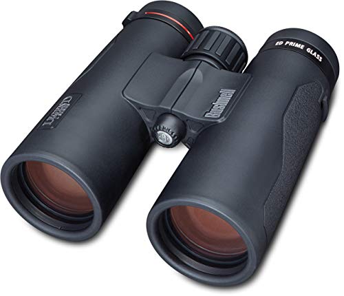 Bushnell Fernglas 10 x 42 Legend L-series – robuster Begleiter für Naturbeobachtungen