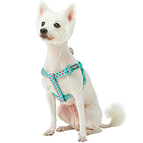 Blueberry Pet Step-in Dog Harness Velvety Heart Flocking Valentine’s Day Adjustable Harnesses for Small Dogs, Mint Green, Chest Girth 16.5" - 21.5" - Thumbnail 7