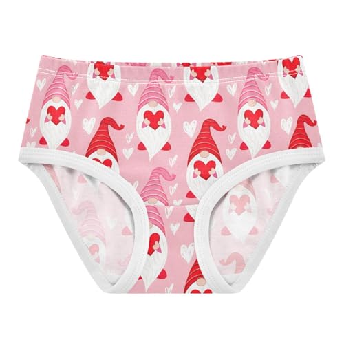 Joisal Designer Toddlers Underwear Floral 2t Cotton Little Girl Panties Cute Gnomes Pink Cartoon Kids Briefs Undies