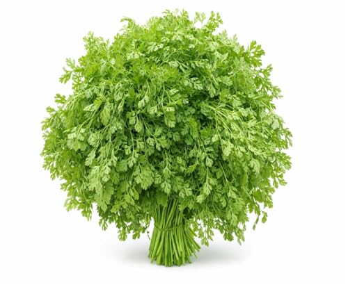 Image of Fresh Coriander Leaves (Local /Nati /Desi) 100g