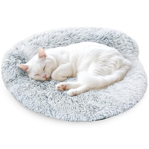 Arquiel Cuccia per Gatti Rotonda, Ultra Morbido Divano Lavabile per Cani di Piccola Taglia con Bordo, Tappetino Antiscivolo per Riposo di Cuccioli e Gattini (50×50 cm, Grigio)