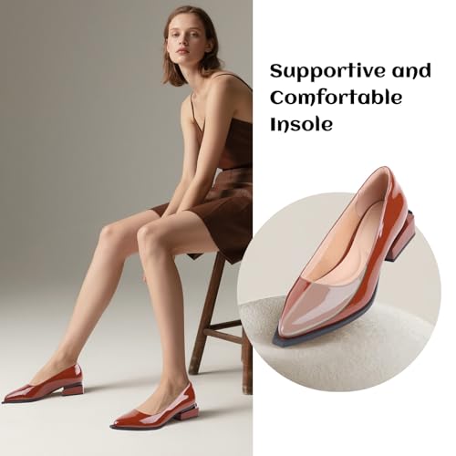 Image of LingxiaUne Dress Shoes for Women, Comfortable Dressy Flats, Womens Chunky Heel Pumps with Arch Support and Pointed Toe