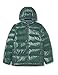 Produktbild PATAGONIA Jungen Down Sweater K's Hi-Loft Daunenpullover Hoody, Pinyon Green, L