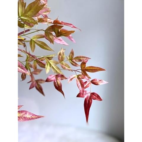 EWGFDEMN Artificial Flowers-Artificial Flowers for decorati Real Touch Nandina Leaf Branch Artificial Flowers，for Greenery, Plant, Wedding, Home Decoration, DIY, Gifts Cover