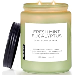 M&SENSE Eucalyptus & Mint Candles Home Scented, Natural Non Toxic Soy Candle, 19.4oz 110H Long Lasting Aromatherapy Candle for Stress Relief, Meditation, Spa, Relaxing Gifts for Men Women