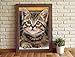 Diamond Art Cat Diamond Art Painting Kit for Adults Tabby Cat for Home Wall Decor,12