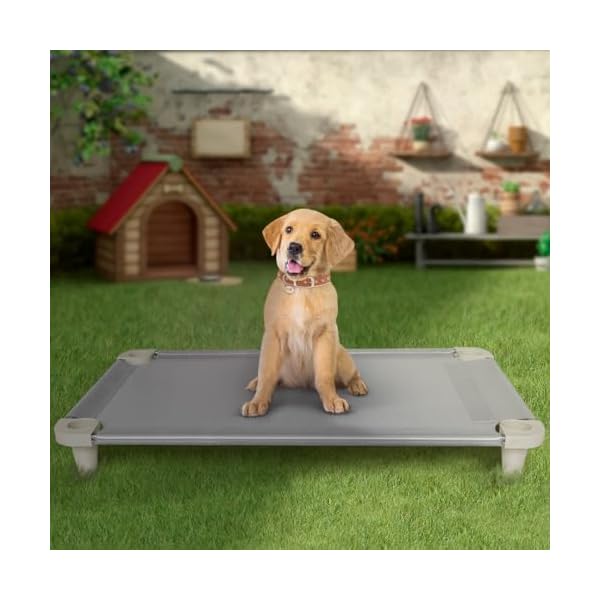 Acrimet Cooling Elevated Pet Dog Bed Cot, Washable and Breathable Mesh Fabric, Stainless Steel Frame, Indoor & Outdoor Use, (Size: 40”x 24”) (Gray Color) (1 Unit)