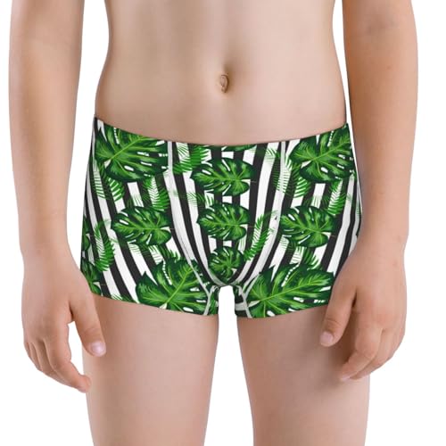 Boys' Cotton Boxer Brief Soft Underwear-Palm Greenery