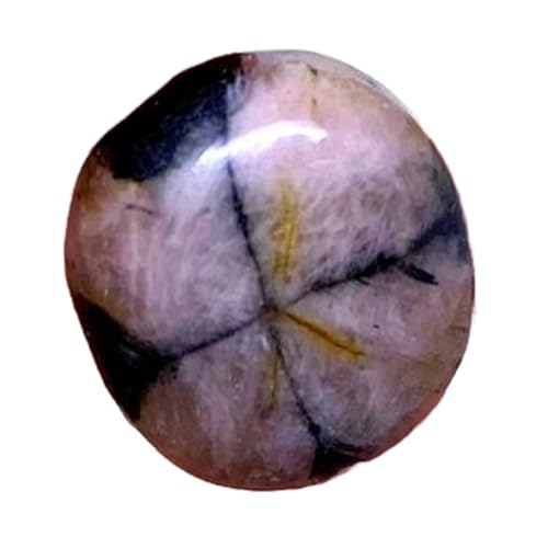 Chiastolite naturelle de collection cabochon fantaisie 22 mm pour joaillerie