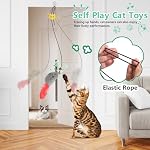 Self Play Cat Toys,2 Pack Door Hanging Cat Mouse Toy with Squeaky Sound,No Batteries Required,Interactive Cat Enrichment Toys for Bored Indoor Adult Cats,Cat Boredom Toys Mice with Feather Tail - Image 3