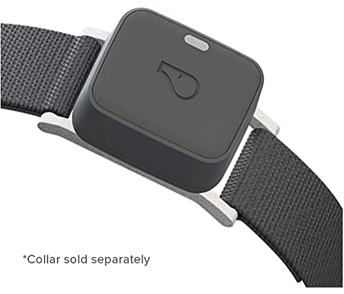 Whistle Go Explore/The Ultimate Health + GPS Location Tracker for Pets/Grey