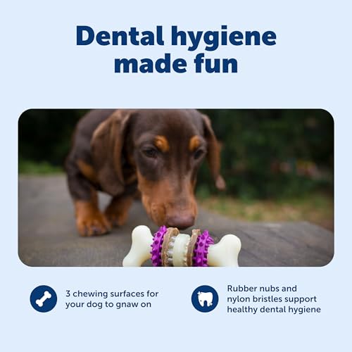 PetSafe Busy Buddy Bristle Bone Dog Treat Holding Chew Toy, Small | Toothbrush-In-A-Toy Design Helps Clean Teeth While Dog Chews, Holds Treat Rings, Durable, Interactive Play, for Dogs 10-25 Lb - image 3