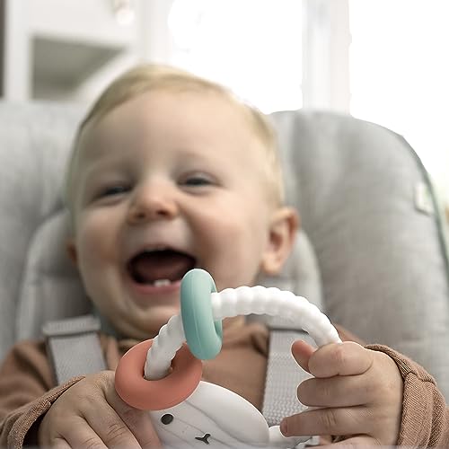 Image of Ingenuity Teethers