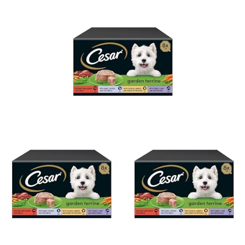 Image of Cesar Garden Terrine Adult Wet Dog Food, Mixed Selection in Loaf, Garnished with Garden Vegetables, 8 x 150 g Trays (Pack of 9)