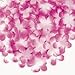 CHERRY BLOSSOM PETALS (200 PIECES) - BULK by Fun Express
