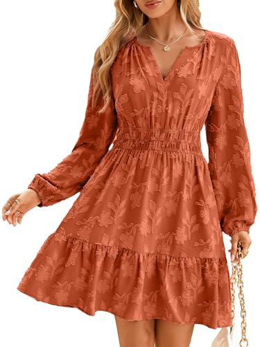 BerryGo Womens Long Sleeve Mini Dress Casual A Line Flowy Loose Vacation Party Babydoll Fall Short Dresses with Pocket