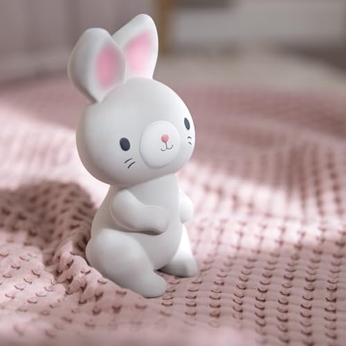 Sylvi Natural Rubber Baby Teether Toy, Rabbit Teething Toy for Sore Gums 0-6 Months, Soft Sensory Chew Toy Easy to Grasp for Infants 0+ Months, Gender Neutral by Ingenuity - Image 6