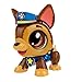 Build a Bot Paw Patrol Chase - Build Your Own Robotic Pet with 20+ Pieces with 1 Sticker Sheet - Ages 3-10