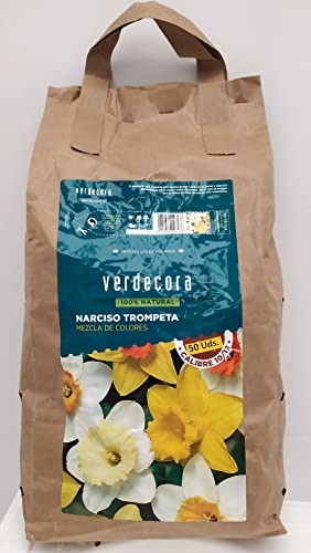 Verdecora Bulbo flor Narciso Trompeta natural - Bulbo de Invierno (PORTES INCLUIDOS) (Mezcla 50 unidades)