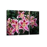 3 Piece Canvas Wall Art Prints Picture Stargazer Lilies Framed Wall Painting Modern Artwork Poster Home Decor for Living Room Office Ready to Hang