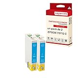  NOPAN-INK - x2 Cartouches Compatible pour Epson T0712 XL T0712XL Cyan (Guépard) Epson Stylus D 120 Stylus DX 4000 4050 4400 4450 5050 7400 7450