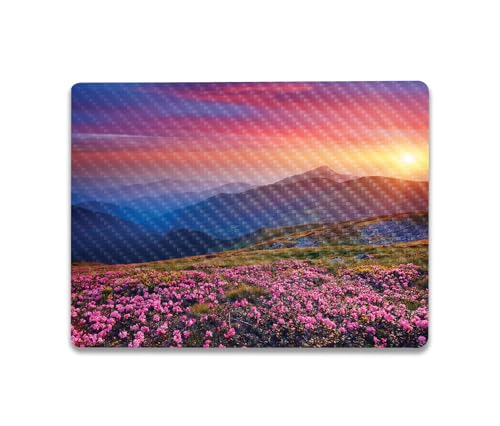 Image of MightySkins Carbon Fiber Skin Compatible with Microsoft Surface Laptop Go 3 (2023) Full Wrap Kit - Field of Color | Protective Durable Textured Carbon Fiber Finish | Made in The USA