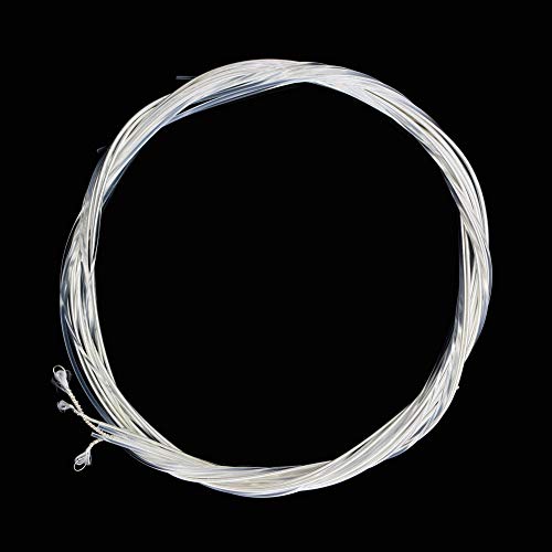 Geshiglobal Lot de 6 cordes en nylon pour guitare classique 1 m 1-6 E B G D A E - Les Beatles, Paul McCartney, John Lennon, RIngo Starr, George Harrison Geshiglobal Lot de 6 cordes en nylon pour guitare classique 1 m 1-6 E B G D A E