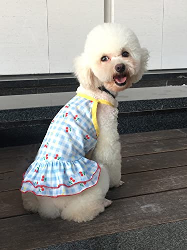 Qwinee Fruit Gingham Print Dog Dress Ruffle Trim Strap Dog Princess Dresses Puppy Tutu Skirt Holiday Party Costume For Small And Medium Cats Dogs Kitten Blue Xl #TOP1