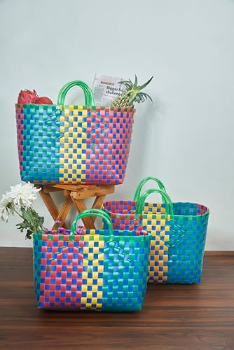 Image of The Quirk Box Premium Multipurpose Organizer Tiffin Basket Carry Bag, Storage & Picnic Basket, Lunch Bag, Gift Hamper, Shopping, Handbag for Lunch Box,Kids Storage - 33 litres(Green-XL)