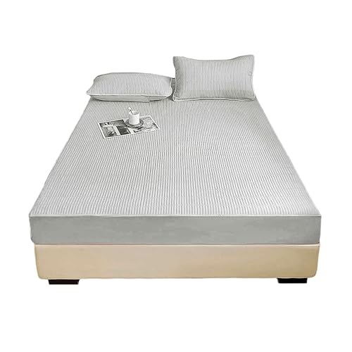 CAPASTEC hV[c {bNXV[c }bgXJo[ ~pbh xbhJo[ xbhpbh V[c xr[phV[c ~zcJo[ EȒP SSt _炩ɗD z ʋC ې􂢉\ I[V[Y ыʂȂ 10