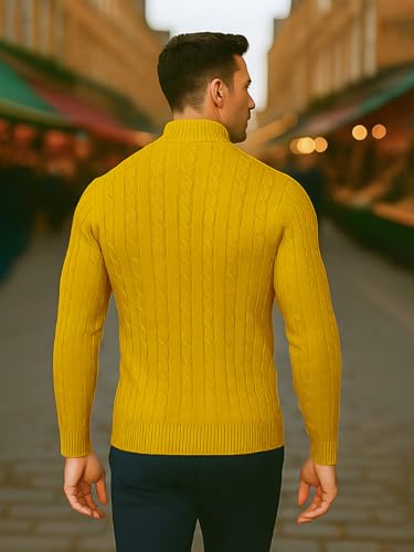 Image of TYSORT Men High Neck Zipper Full Sleeve Cable Knitted Winter Sweater,Cable Knit Sweater for Men