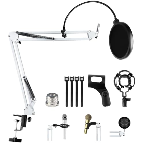 Bras Micro avec Lumière RGB, Suspension Supports de Microphone Réglable avec Support de Bureau, télécommande, Adaptateur 3/8 - TV Son Photo