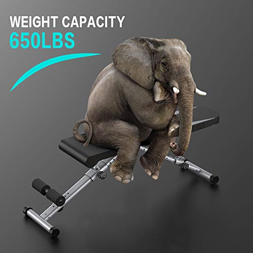 BTFING Adjustable Weight Bench Press, Workout Bench for Strength Training Equipment, Foldable Home Gym Bench for Exercises