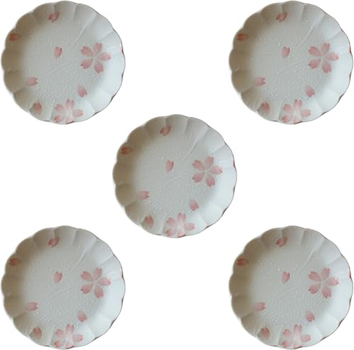 Z aH BV[Y 16cmv[g T Zbg { dqWΉ H@Ή M M