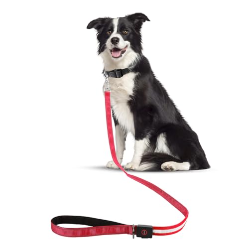 Cavo per Cani LED 1,2m Ricaricabile USB – Impermeabile/Riflettente, Collare Luminoso 4 Modalità – Sicurezza Notturna, Per Cani Grandi/Medi (Rosso)