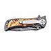 BGT Classic Pocket Folding Knife with 7Cr17Mov Stainless Steel,Outdoor Tactical Knives with Rose Wood Handle For BC Camping Hiking Fishing,Gifts for Men Women Husband Dad