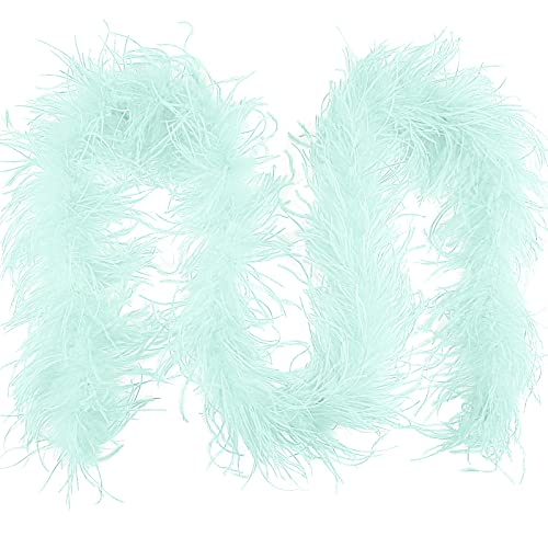 Tharaht Ostrich Feather Boa 1Ply 2Yard Natural Fluffy Feather Boa For Crafts Diy Wedding Easter Halloween Party Costume Decoration Ostrich Feather Boa,Light Blue #TOP12