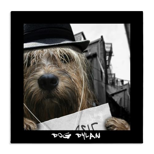 Funny Dog Musician Cityscape, 24 x 24 Inch Canvas Wall Art