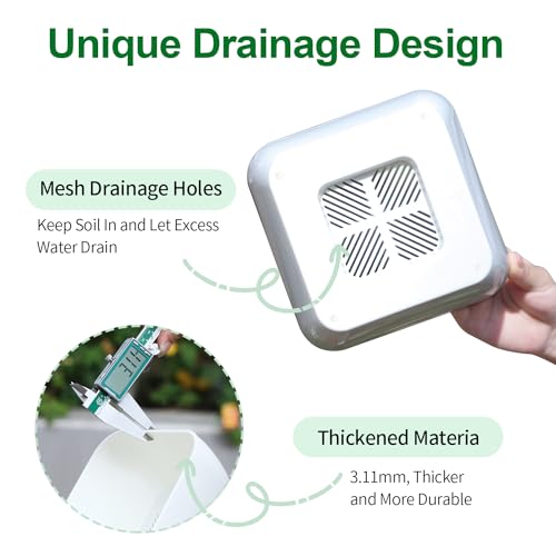 Succulent Pots 6 Inch Shallow Herb Planters with Drainage Hole - 8 Packs Cactus Planter for Home Office Garden Plants Pot Present - Plants Not Included (Off White)