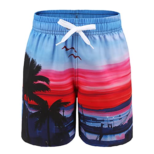 Aisyee Big Boys Swim Trunks Quick Dry Swim Shorts For Kids Beach Boards Shorts With Hawaiian 3D Prints Swimwear Seaside Size 10/8-10 Years #TOP3