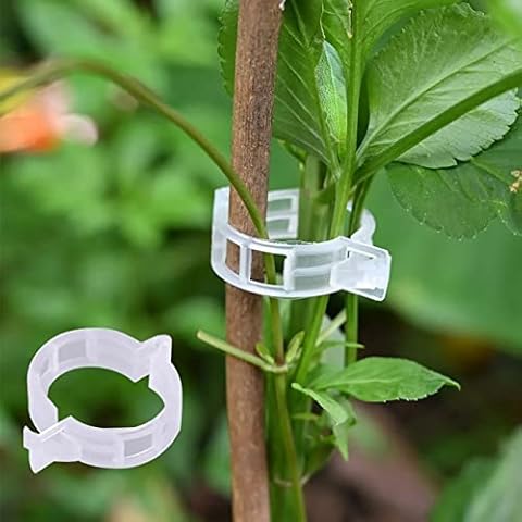 Aoipend 300Pcs Tomato Clips, Plastic Trellis Clips, Plant Support Clips, Grape Vine Tomato Vine Vegetables Plants Garden Support Clips to Grow Upright Makes Plants Healthier Cover