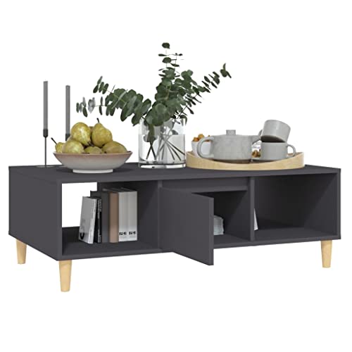Table basse gris en bois d'ingénierie avec compartiment intérieur