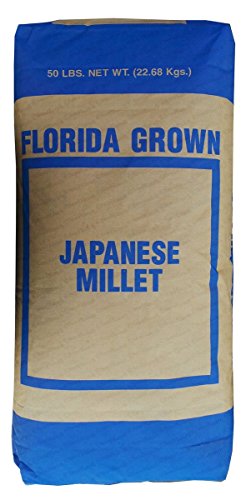 SeedRanch Japanese Millet Seed - 20 Lbs.