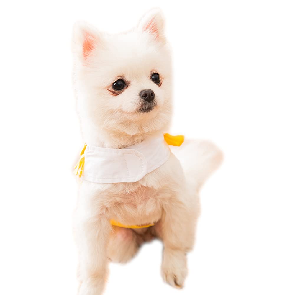 Amazon | NACOCO 夏 猫犬服 ワンピース ワンちゃん ペット 姫様 小型犬