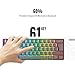 Snpurdiri 60% Prozent Gaming Tastatur Kabelgebundene, RGB LED Beleuchtung, Mechanisches Gefühl Keyboard Mini Kleine Ergonomisch, Kompakt, Office Tastatur für PC (61 eisengrau)